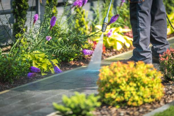 Best Deck and Patio Pressure Washing in Innsbrook, VA